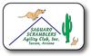 Saguaro Scramblers