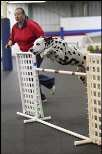 Darlene Woz Running Her Dog