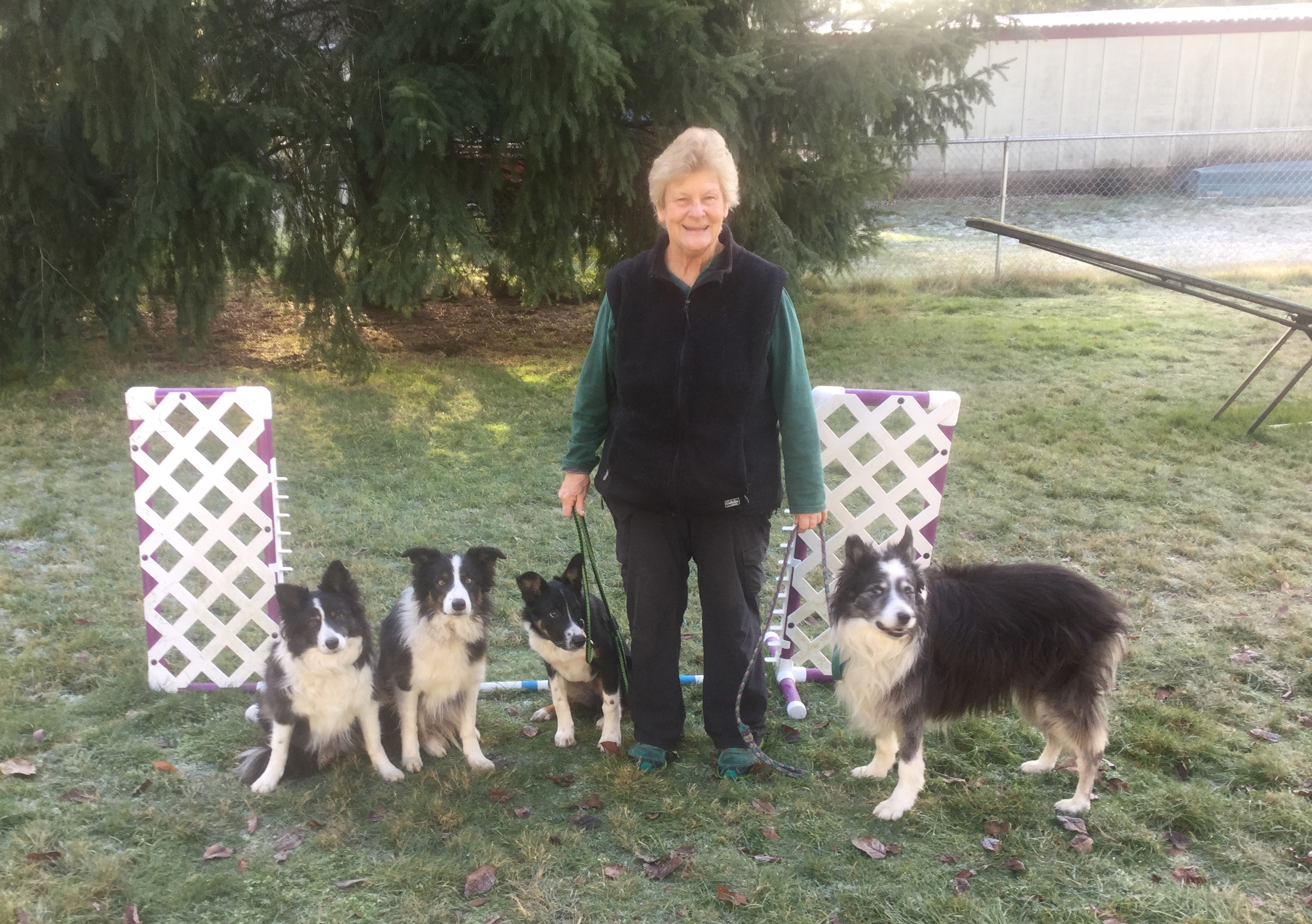 Sandra Katzen 1 Sandra Katzen with her 4 dogs