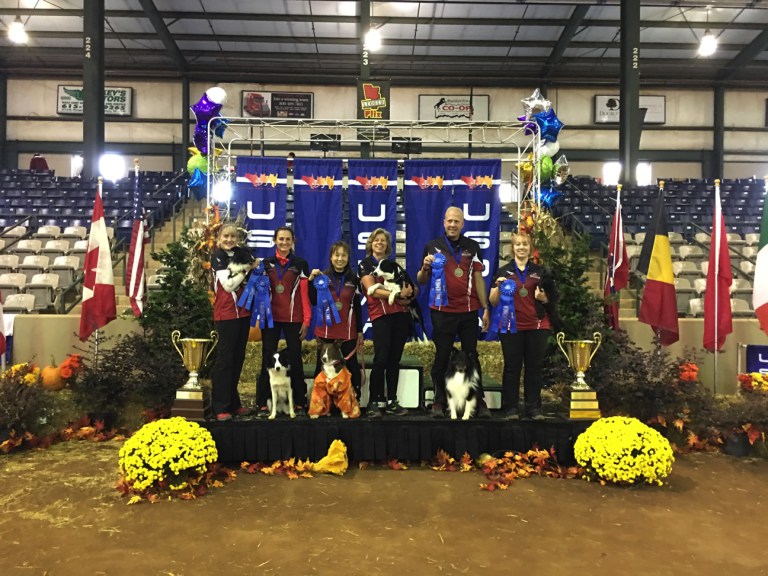 All 2017 Grand Prix Cynosport Winners