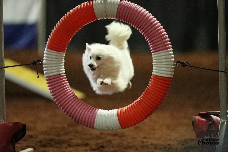 Tire Jump