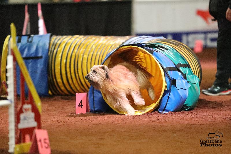 Tunnel