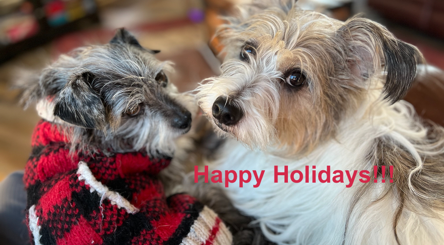 2024 USDAA Holiday Office Hours - HPS