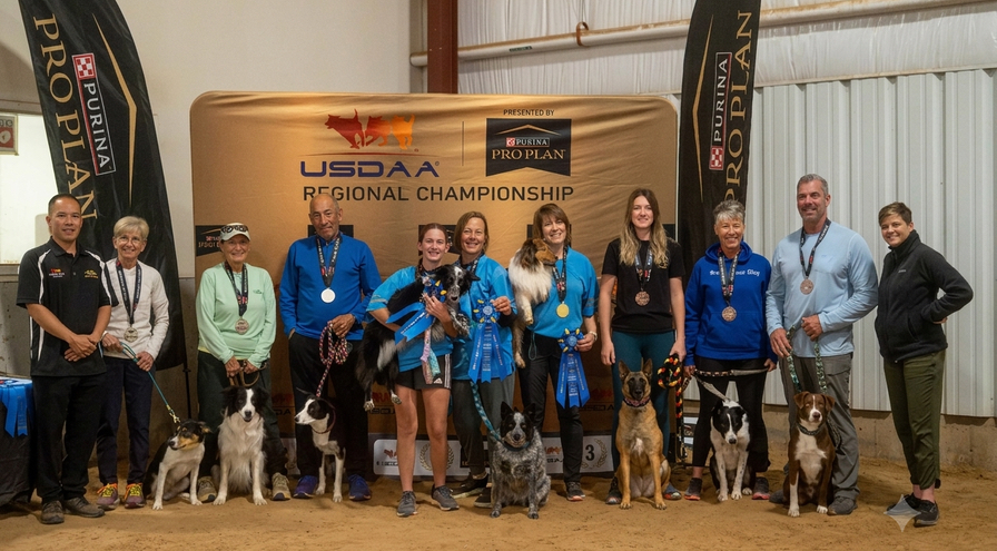 3-Dog Team - HPS