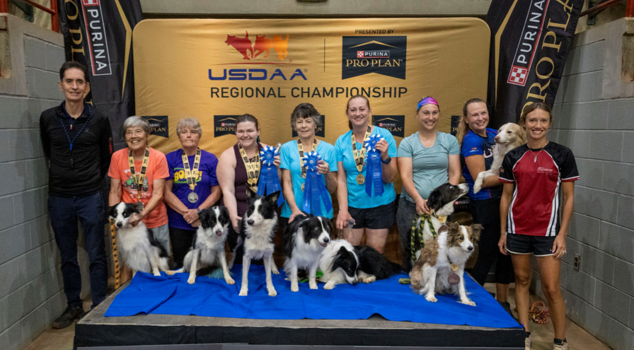 3-DogTeam - HPS