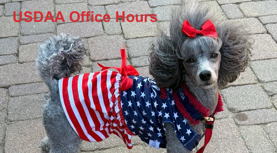 4th of July - Home Page Slider