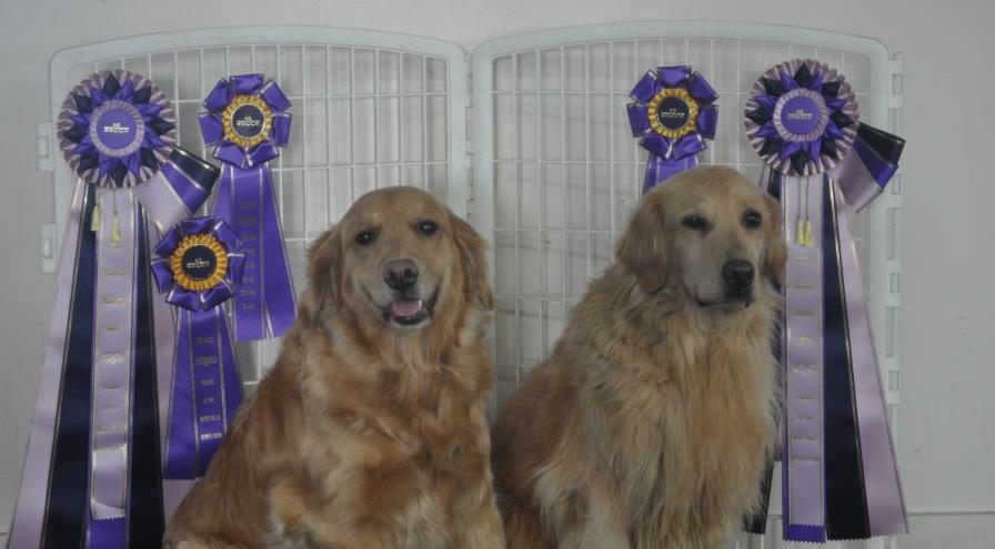 ARCHX WCRL Eva and Whitney - owned by Peg Cobb hps