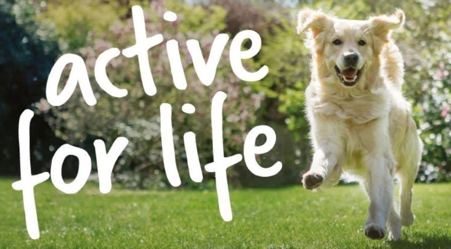 YuMOVE active for life hps