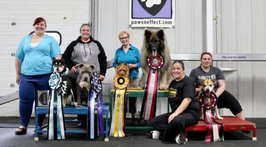All Paws N Effect - Rally 1st breed teams - ARCHMX hps