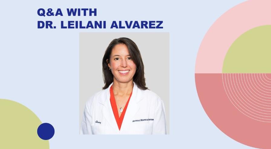 Alvarez supplement Q-A hps