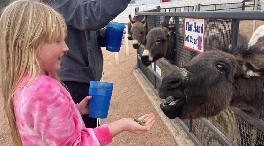 Amber Abbott’s daughter Beckit at Rooster Cogburn Ostrich Ranch hps