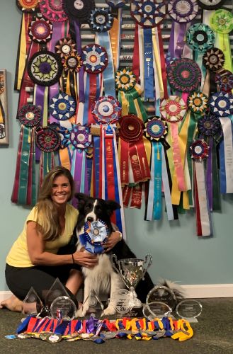 Amber McCune and Kaboom with ribbons - GreatDanePhotos 500