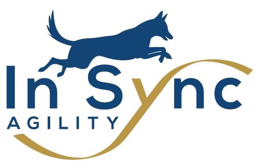 Ann Braue InSyncAgility logo 500