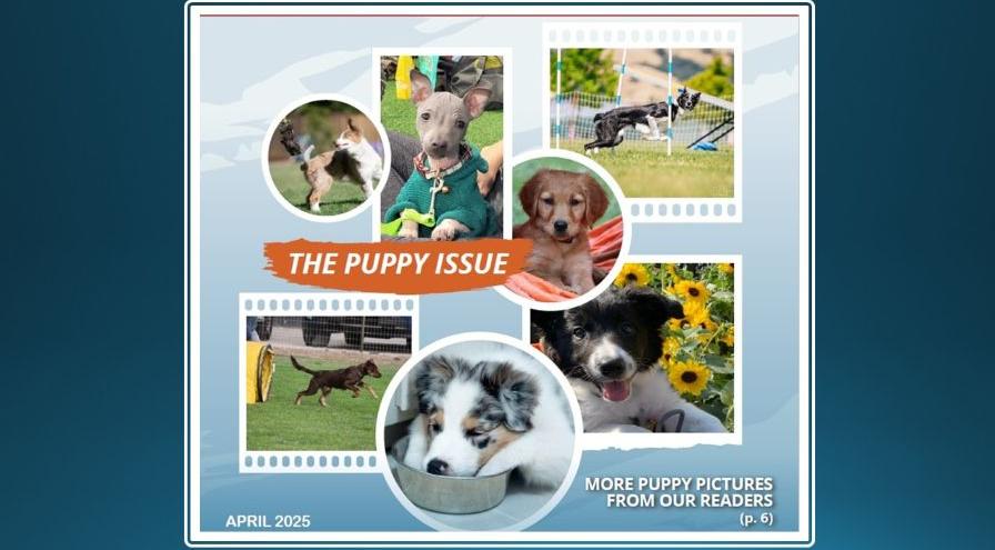 April 2025 magazine cover hps