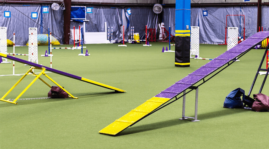 dog agility course at Breakaway Action Dogs