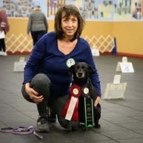 Bella - Sharon Graham 500