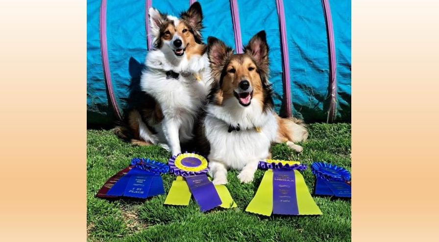 Braveheart and Fiona hps