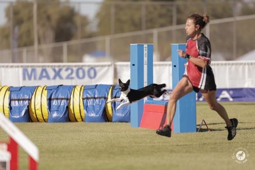 Bridget Thomas and Betelguese - GreatDanePhotos 500