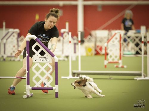 Britney Imhof and Bilbo-GreatDanePhotos 500
