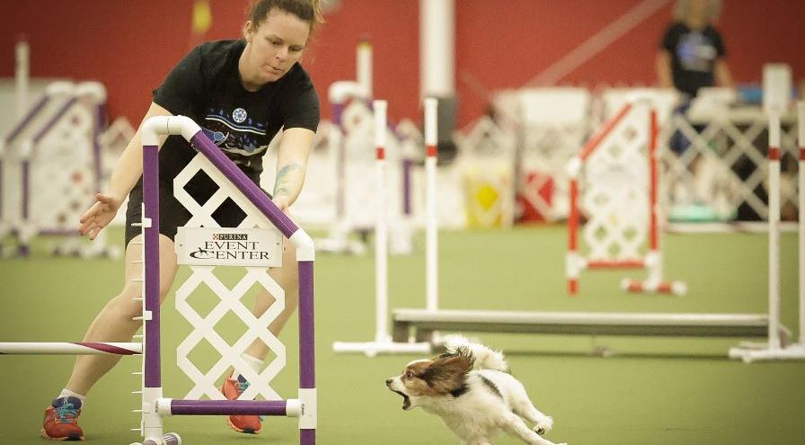 Britney Imhof and Bilbo - GreatDanePhotos hps