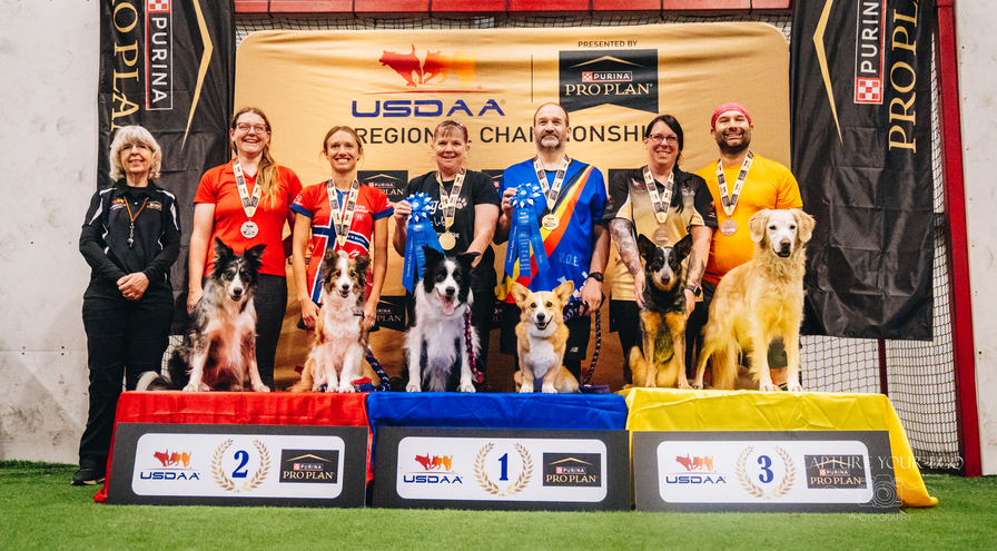 CR - 2 Dog Team - HPS