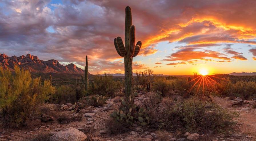 Catalina State Park -  Tucson photo by Danilo Faria hps