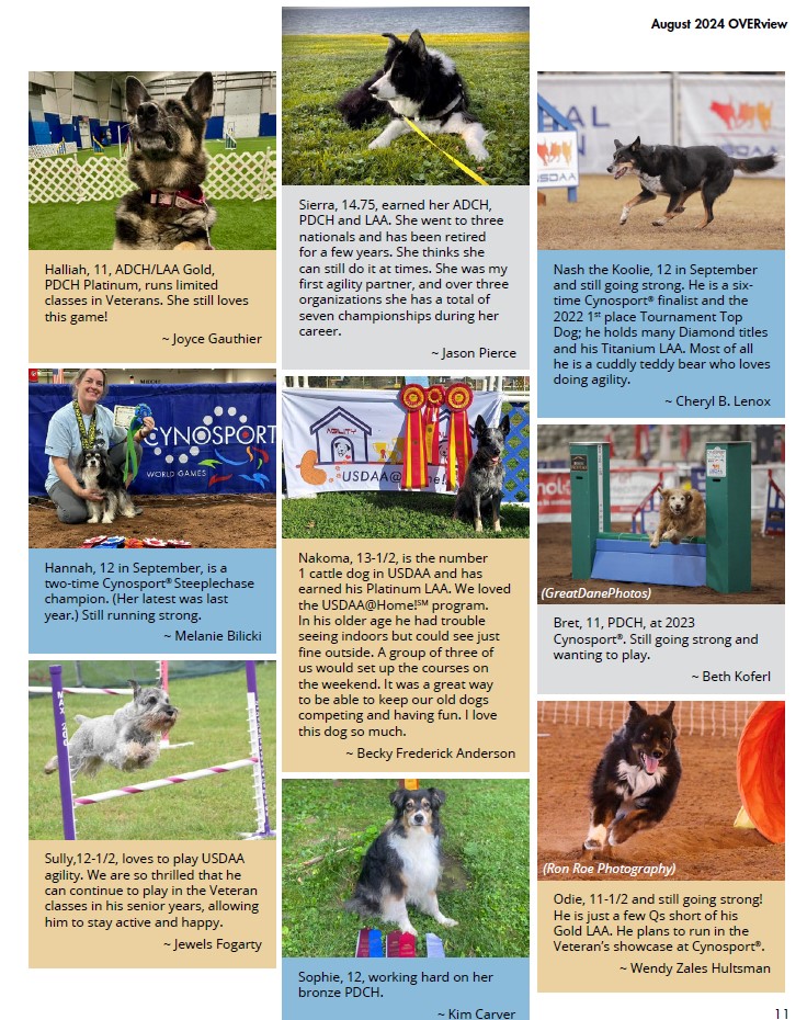 Celebrating senior dogs2 Celebrating senior dogs2