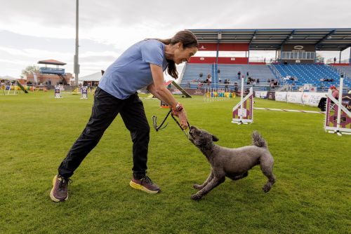 Christine Brew and Indi - Lou Bopp photo 500