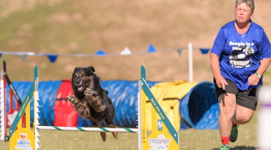 Comeback story-Jody Faulkner-Buck jumping GreatDanePhotos hps