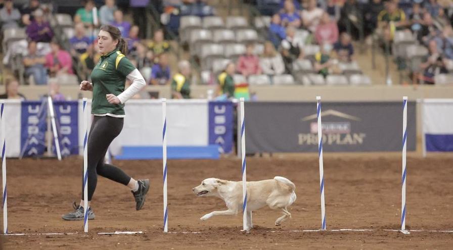 Courtney Holscher and Ella - GreatDanePhotos hps