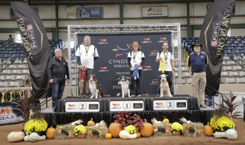 Cynosport 2023 Veterans All-Around 12” Winners 500