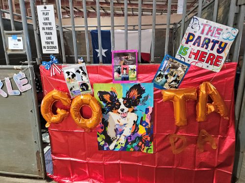 Cynosport 2025 crates-party is here 500