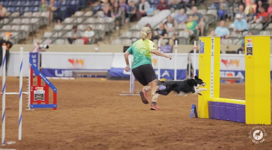 Cynthia Hornor and Nimble - Great Dane Photos hps