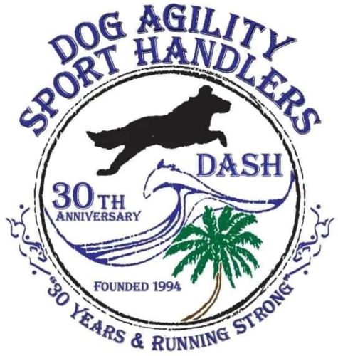 DASH 30-year logo
