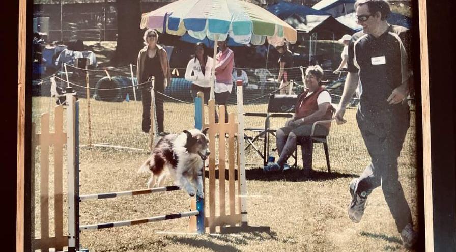 DASH from Focus on Agility hps