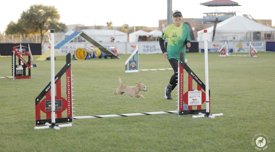 Deborah Wachter and Paisley in action at Cynosport. (GreatDane Photo) hps