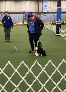 E Foley and her dog Syrio compete in front of judge Laurie Schlossnagle E Foley and her dog Syrio compete in front of judge Laurie Schlossnagle
