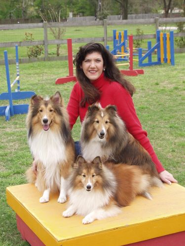 Elizabeth Blanchard with Shelties 500