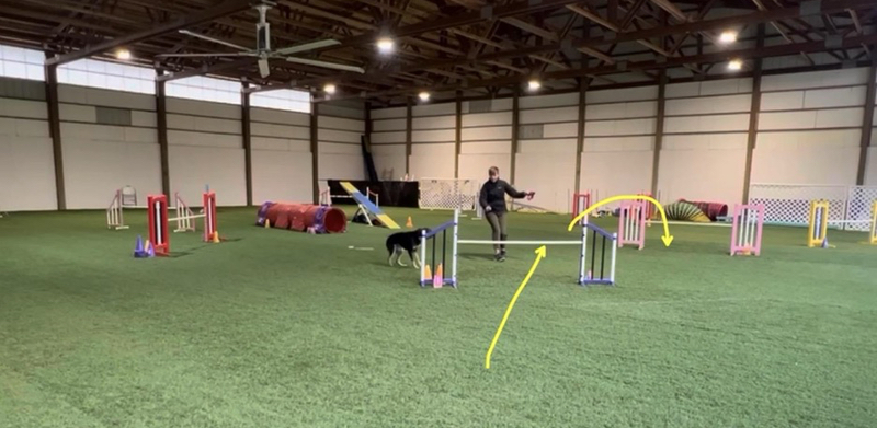 Every Run Is Feedback - body Every Run Is Feedback - body