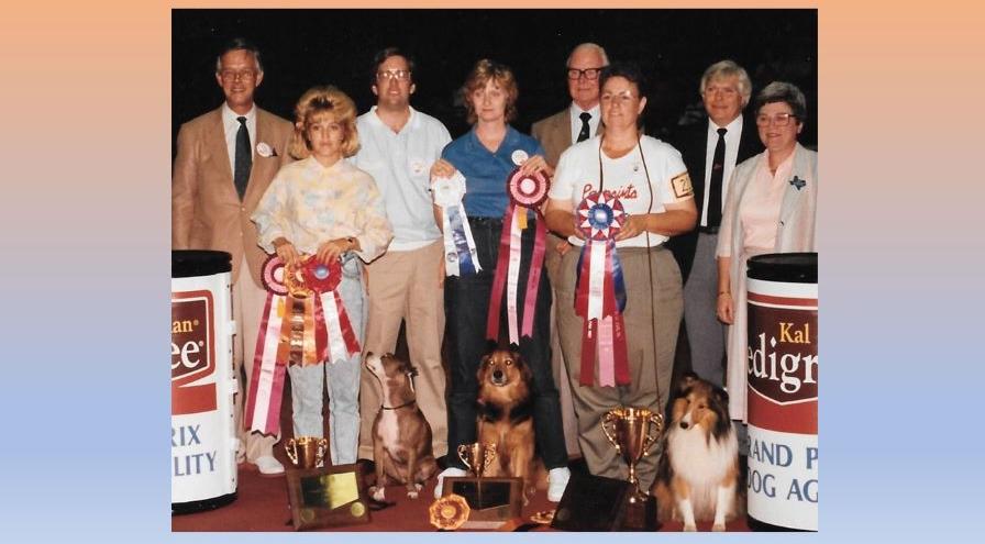 First USDAA Grand Prix of Dog Agility 1988 hps