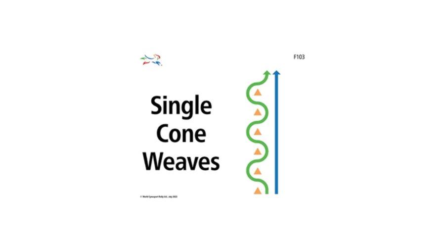 Flash Rally Single Cone Weaves F103 hps