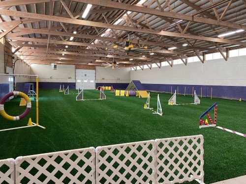 Flint Creek Dogs facility 500