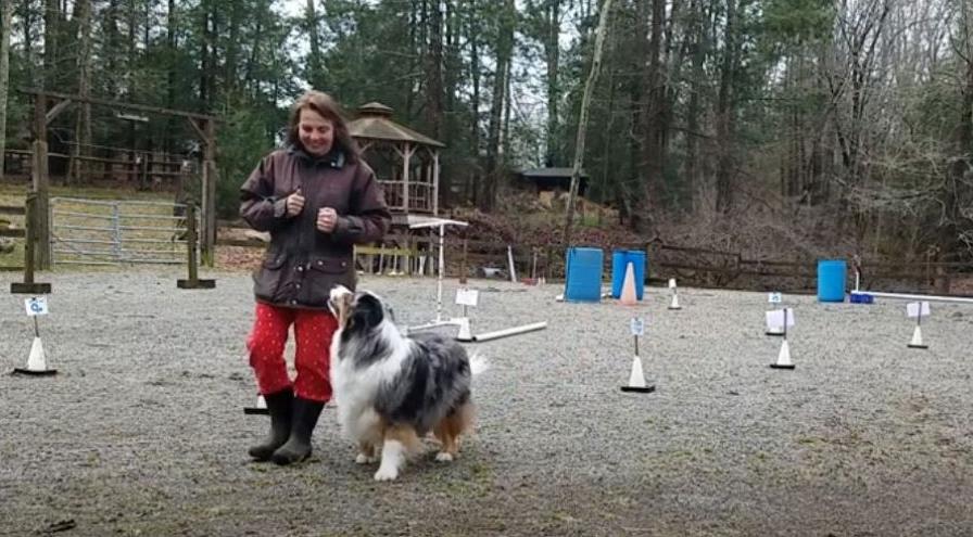 Gail Vendetti and Shilo - Rally Flash hps