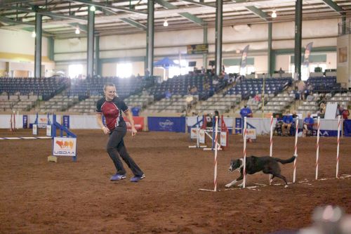 Ginny Carlson and Pixie - Great Dane Photos