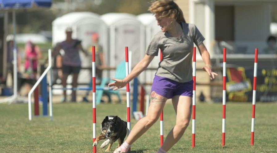 Ginny Carlson and Trouble - Great Dane Photos hps