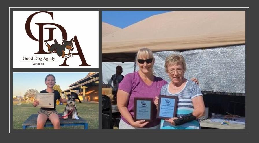 Good Dog Agility hps