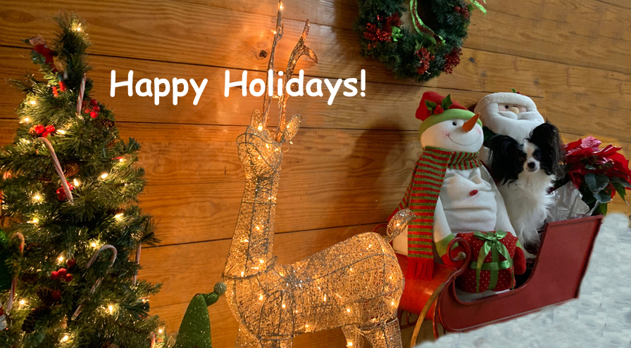 Happy Holidays!