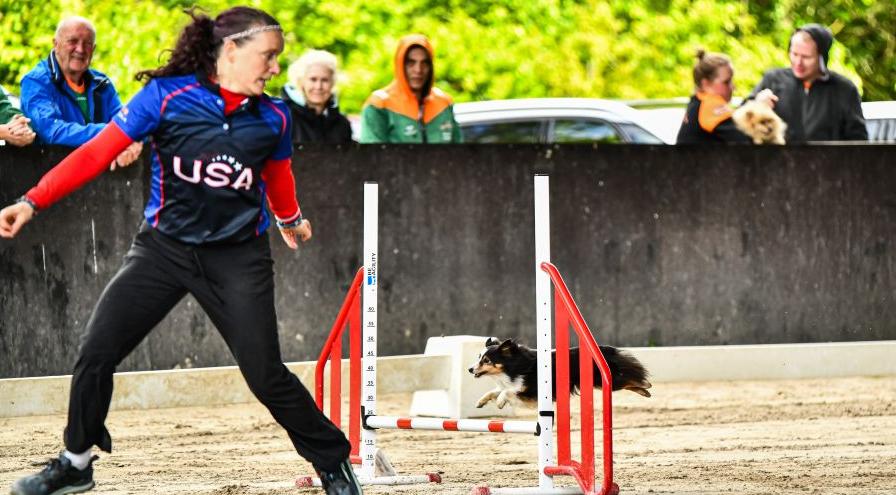 Heather Witt-Sullivan and Rowan compete at a previous IFCS hps