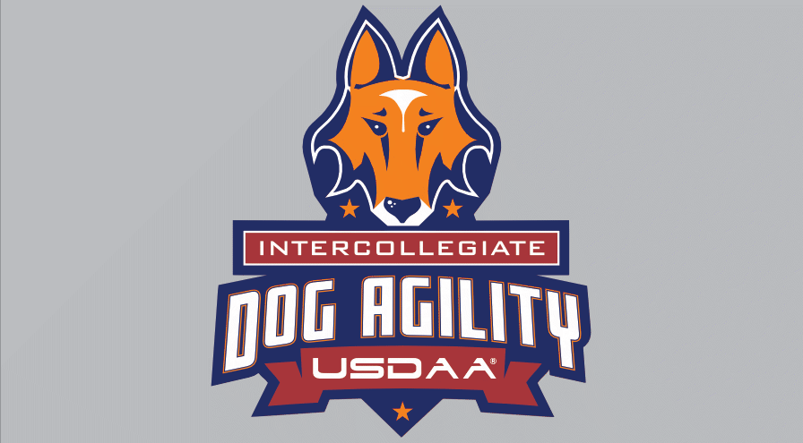 IDA Logo