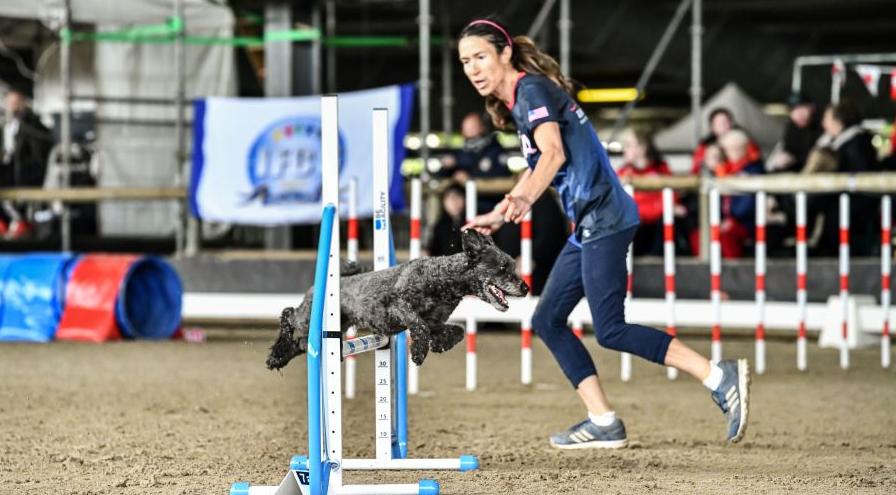 IFCS 2024 gold medalists Christine Brew and Indi - Fancy Art photo hps